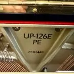2018 Boston UP-126E Traditional Upright #191449 #3