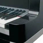 Bösendorfer Design by F.A. Porsche Grand #6