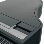Bösendorfer Design by F.A. Porsche Grand #4